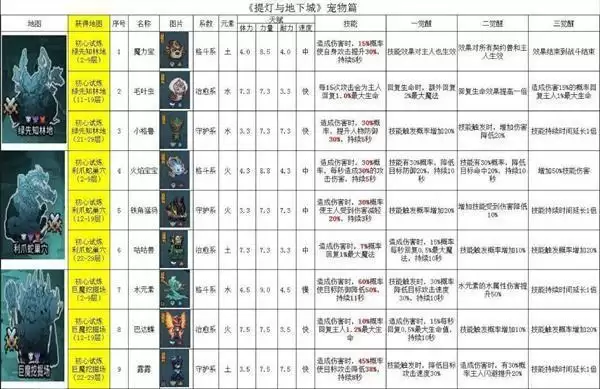 提灯与地下城宠物排名