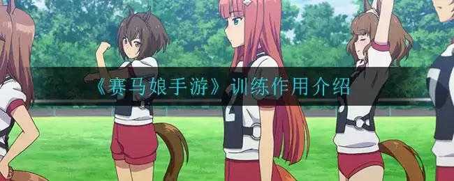 《赛马娘手游》训练作用介绍