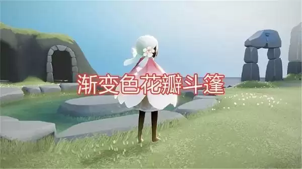 《光遇》花之日活动国服上线时间