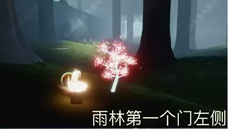 光遇花之日活动彩蛋树位置合集