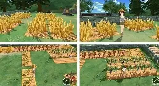 小森生活小麦粉要如何获得