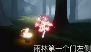 sky光遇樱花节彩蛋樱花树位置大全