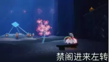 sky光遇樱花节彩蛋樱花树位置大全