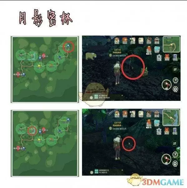 《小森生活》甲虫获取方法介绍