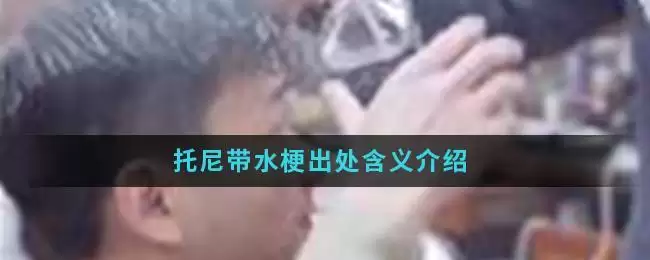 托尼带水梗出处含义介绍