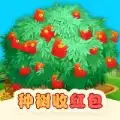 开心果树