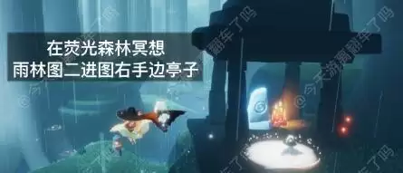 光遇在荧光森林冥想位置在哪