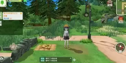 《小森生活》金鸡位置介绍