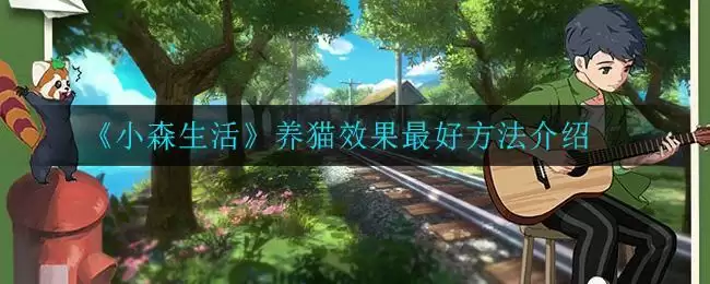 《小森生活》养猫效果最好方法介绍