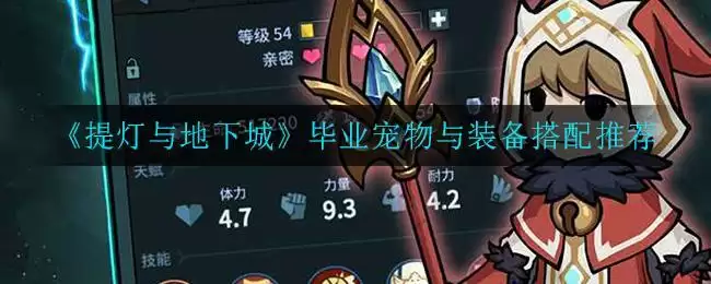 《提灯与地下城》毕业宠物与装备搭配推荐