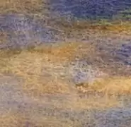 《希望之村》各环境资源产出汇总介绍