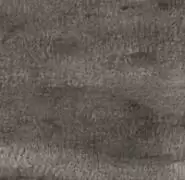 《希望之村》各环境资源产出汇总介绍