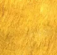 《希望之村》各环境资源产出汇总介绍