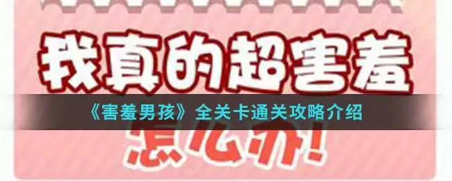 《害羞男孩》全关卡通关攻略介绍