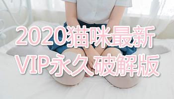 新版猫咪的地址2020版入口地址下载