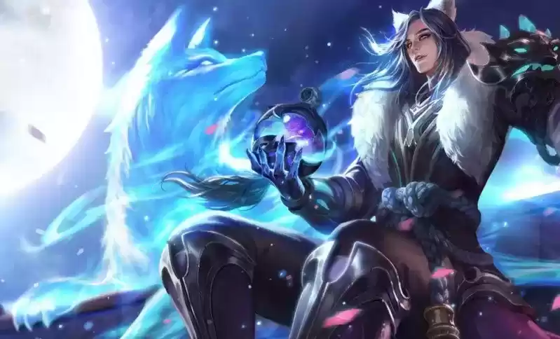 image.webp image.webp