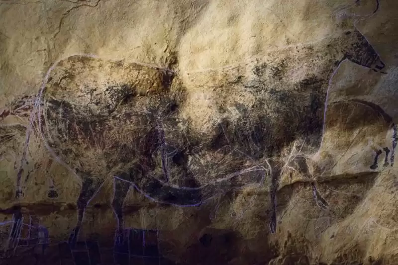 鬼谷八荒疾速代谢使用攻略