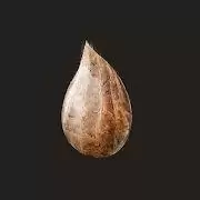 mitoza全收集