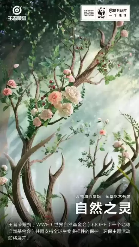 王者荣耀wwf联动皮肤是谁的 wwf联动皮肤详细介绍