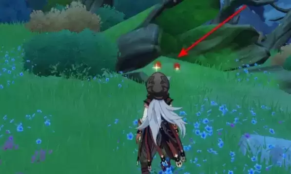 原神红色钩钩果在哪?红色钩钩果位置介绍图片4