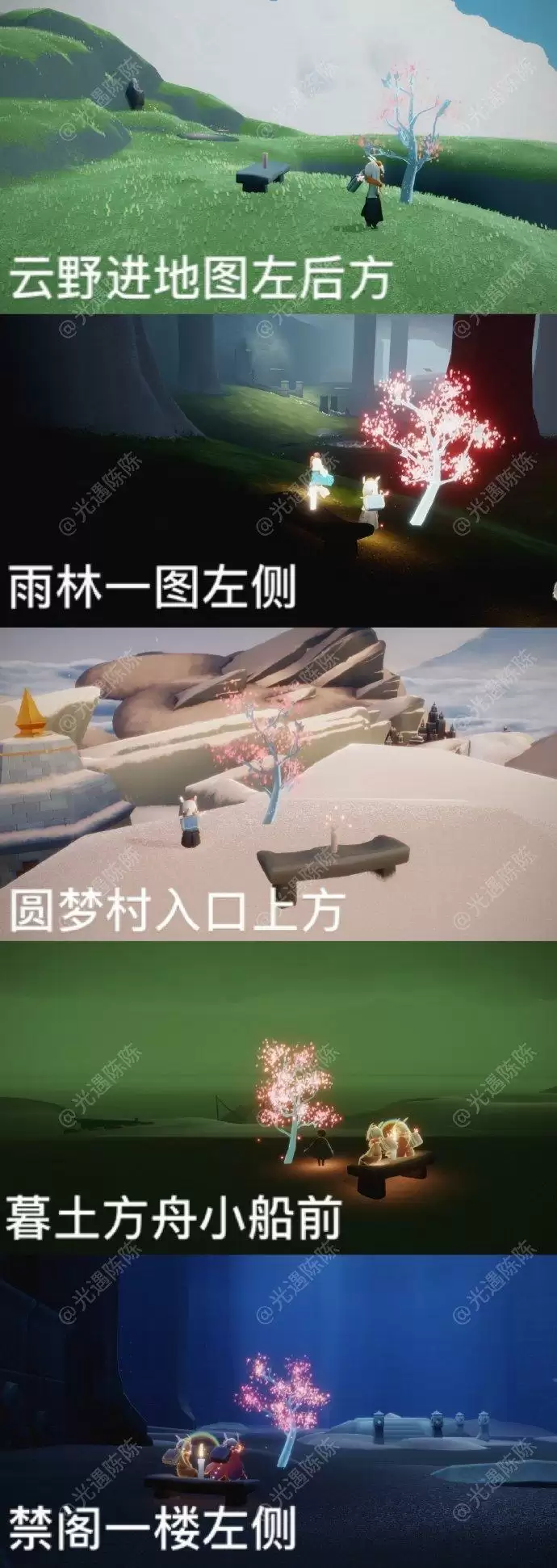 光遇花之日樱花树位置大全及赏花任务攻略