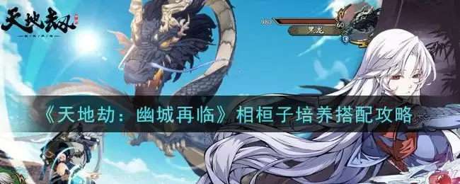 《天地劫：幽城再临》相桓子培养搭配攻略