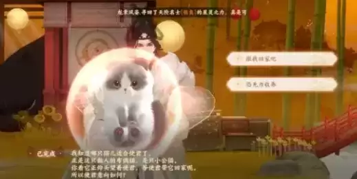 忘川风华录猫灵领养及培养进化方法一览