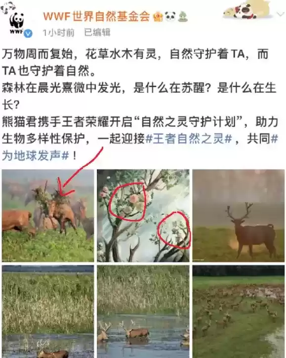 王者荣耀自然之灵皮肤英雄预测 自然之灵皮肤是瑶的还是阿古朵的