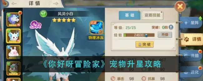 《你好呀冒险家》宠物升星攻略
