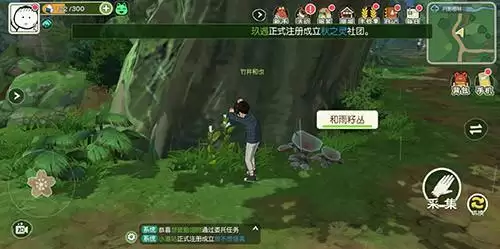 小森生活和雨籽在哪里获得