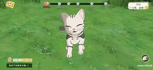 小森生活猫咪养成计划任务完成攻略分享