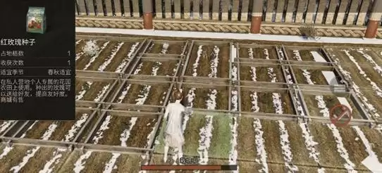 明日之后白色心语怎么玩?白色心语活动玩法介绍图片5