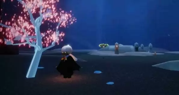 光遇禁阁小树苗位置在哪里