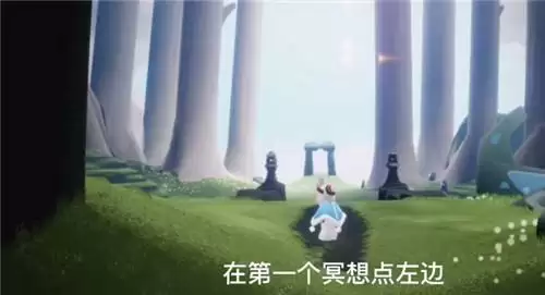 光遇坐赏雨林小树苗任务完成方法分享