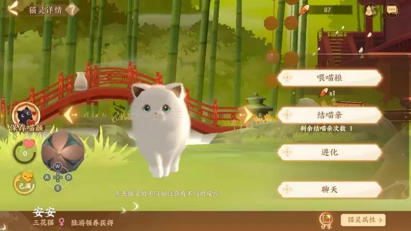 忘川风华录猫咪转换名士猫资质说明