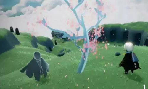 光遇小树苗在哪 光遇小树苗位置攻略