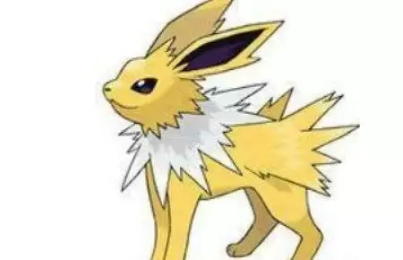 《口袋新世代》宠物选择攻略