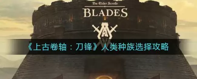 《上古卷轴:刀锋》人类种族选择攻略