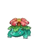 《口袋新世代》妙蛙花介绍