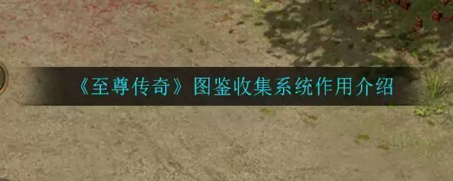 《至尊传奇》图鉴收集系统作用介绍