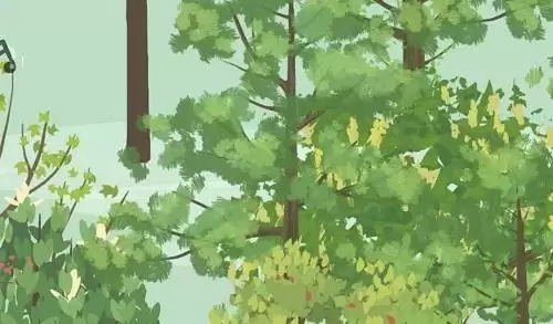 老农种树太阳花用途介绍及获取攻略