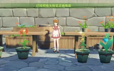 《原神》芙罗拉留影任务攻略