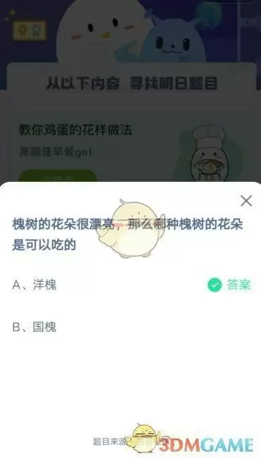 槐树的花朵很漂亮，那么哪种槐树的花朵是可以吃的