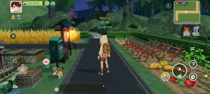 小森生活家园布置推荐 新手家园布置攻略图片2