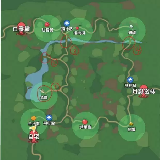 小森生活朝晖森林资源分布图 朝晖森林资源地图图片5