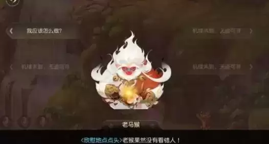 梦幻西游手游花果山入世天命签全结局图文攻略