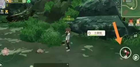 小森生活土拨鼠不出洞怎么办