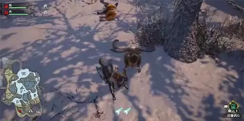 怪物猎人崛起温暖的毛皮怎么获得?温暖的毛皮获取方法图片2