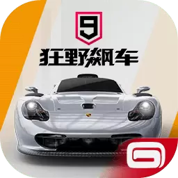 狂野飙车9免谷歌版