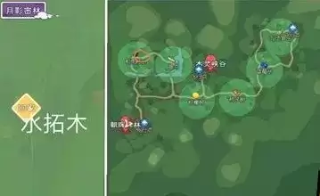 《小森生活》水拓木刷新位置介绍